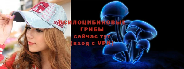 дурь Алзамай