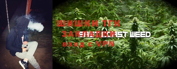 дурь Алзамай