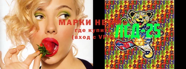 дмт Алексин