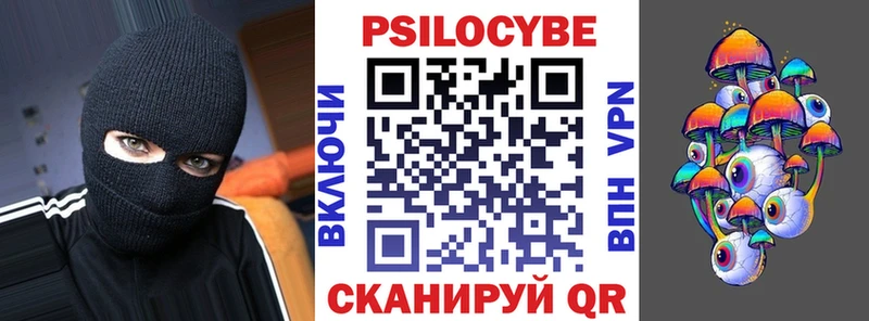 Галлюциногенные грибы Psilocybine cubensis  Ижевск 